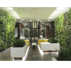 Natural Indoor Vertical Garden (550 Rs -900 Rs) (Rates / Sqft)